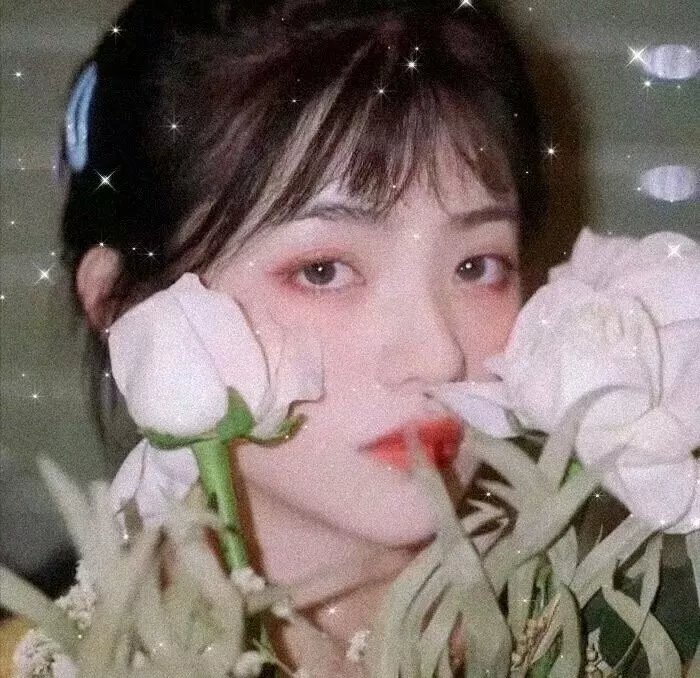 虫虫的异想生活